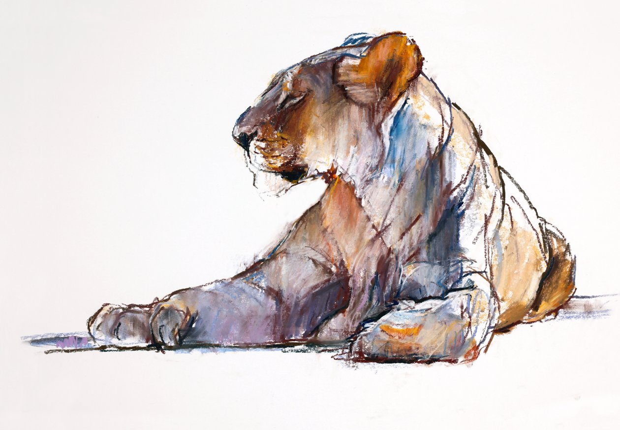 Mattina da Mark Adlington