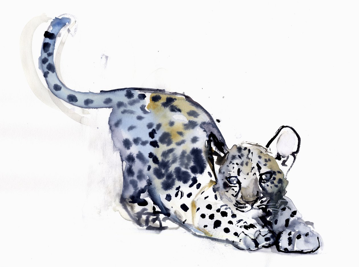 Cucciolo che si allunga (Leopardo arabo), 2008 da Mark Adlington