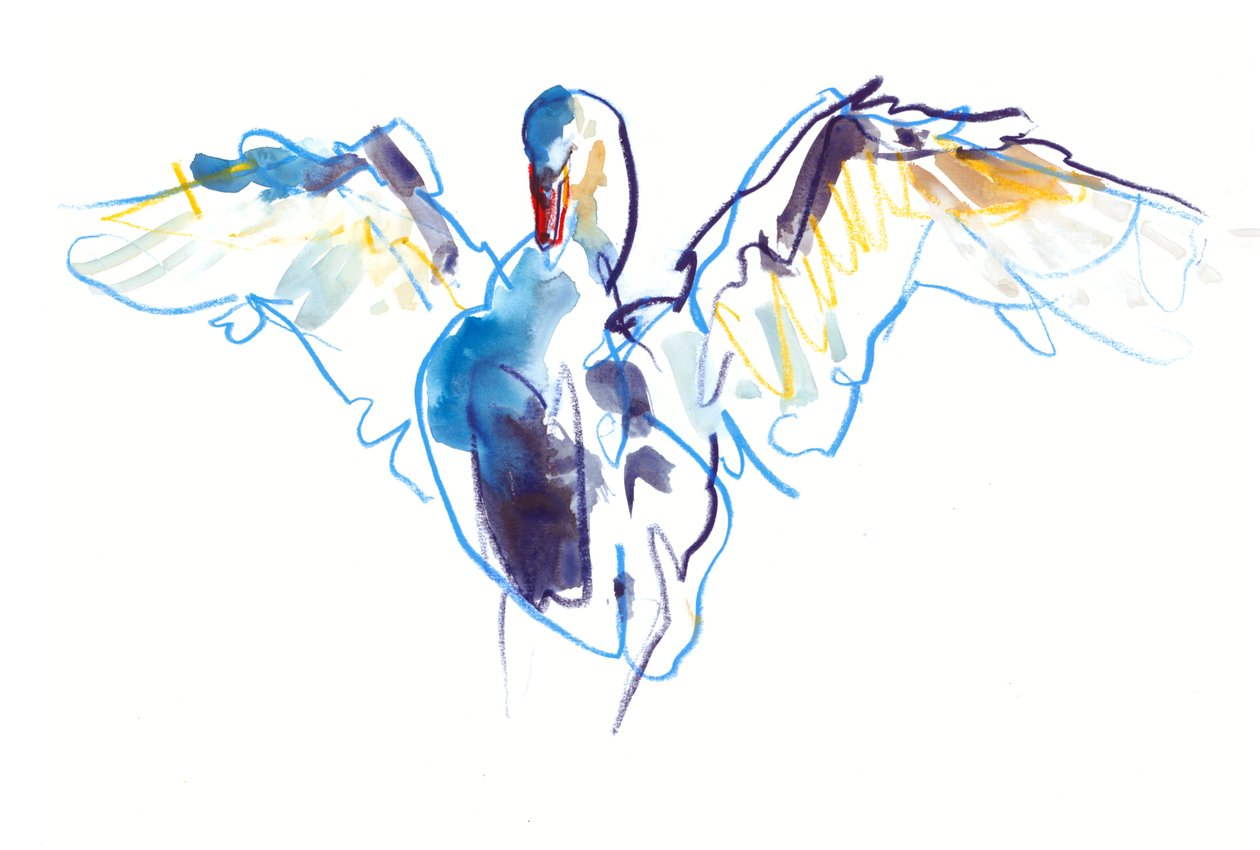 Il Cigno, 2022 da Mark Adlington
