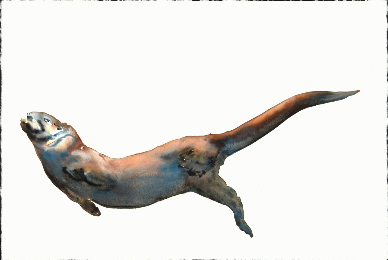 Titolo sconosciuto da Mark Adlington