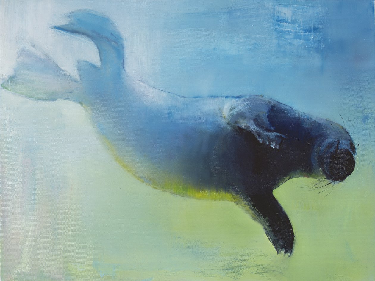 Senza peso, 2003 da Mark Adlington