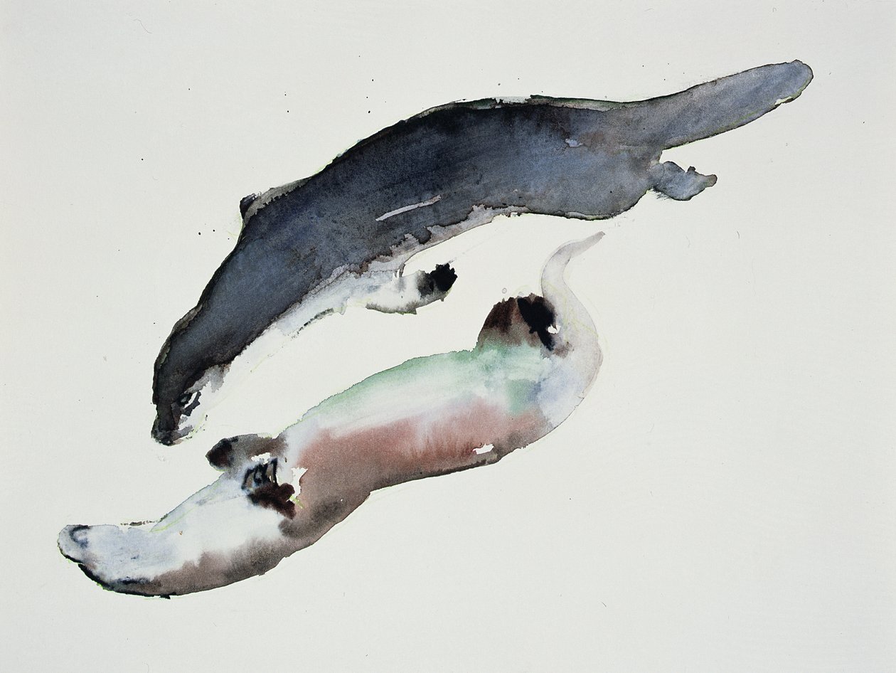 Yin Yang da Mark Adlington