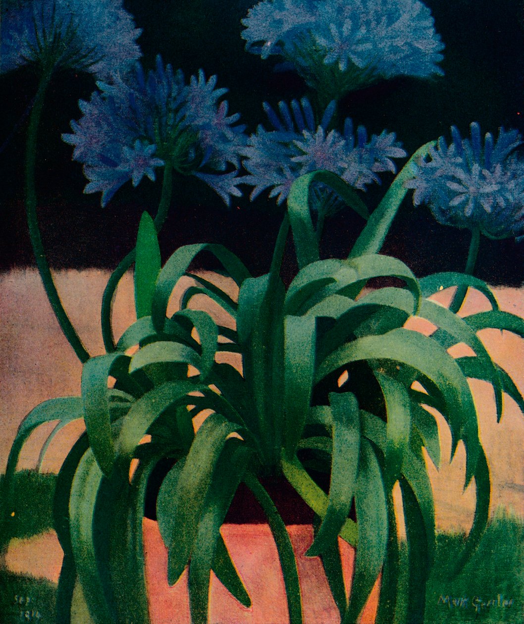Agapanthus da Mark Gertler