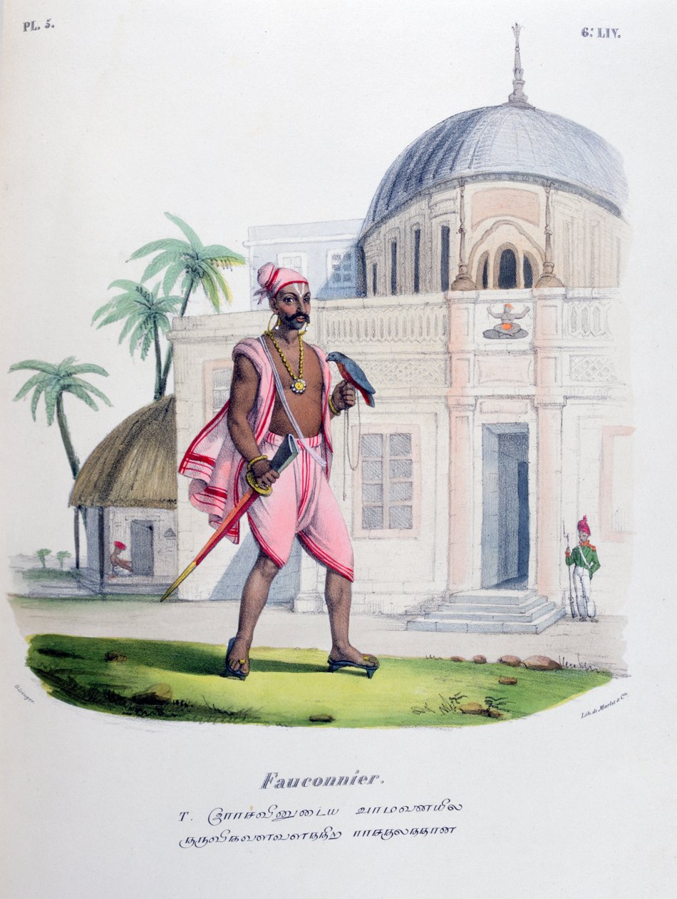 Falconiere, 1828 da Marlet et Cie