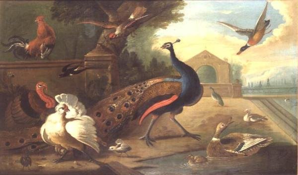 Immagine sconosciuta da Marmaduke Craddock