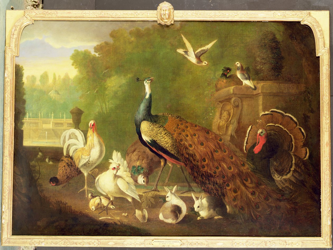 Immagine sconosciuta da Marmaduke Craddock
