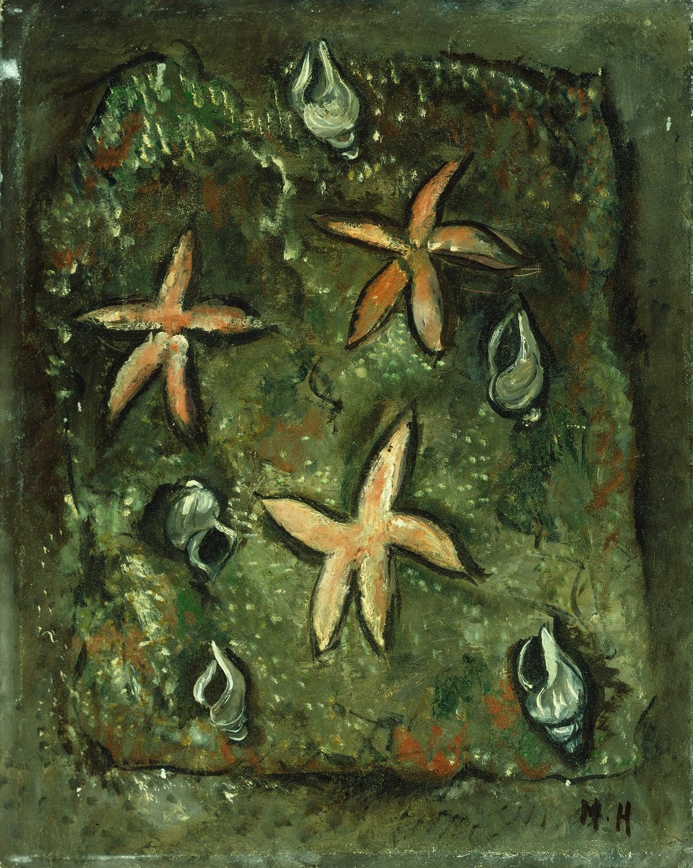 Stelle Marine e Conchiglie da Marsden Hartley