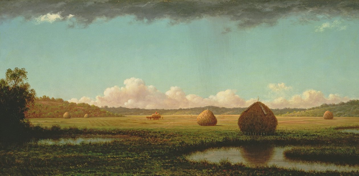 Piogge estive, c.1862-63 da Martin Johnson Heade