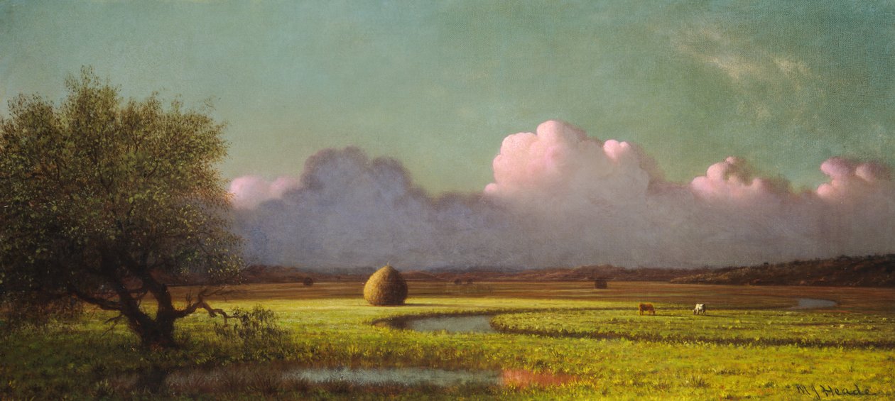 Luce del sole e ombra - Le paludi di Newbury da Martin Johnson Heade