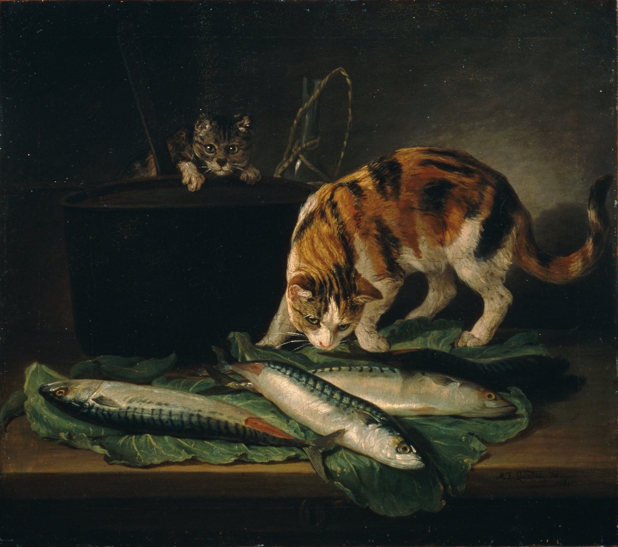 Gatti e pesci da Martin Ferdinand Quadal