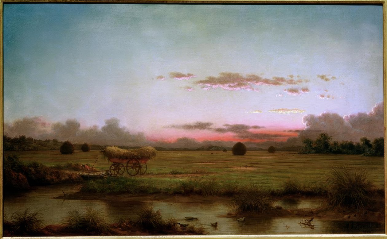 Le paludi di Rhode Island da Martin Johnson Heade