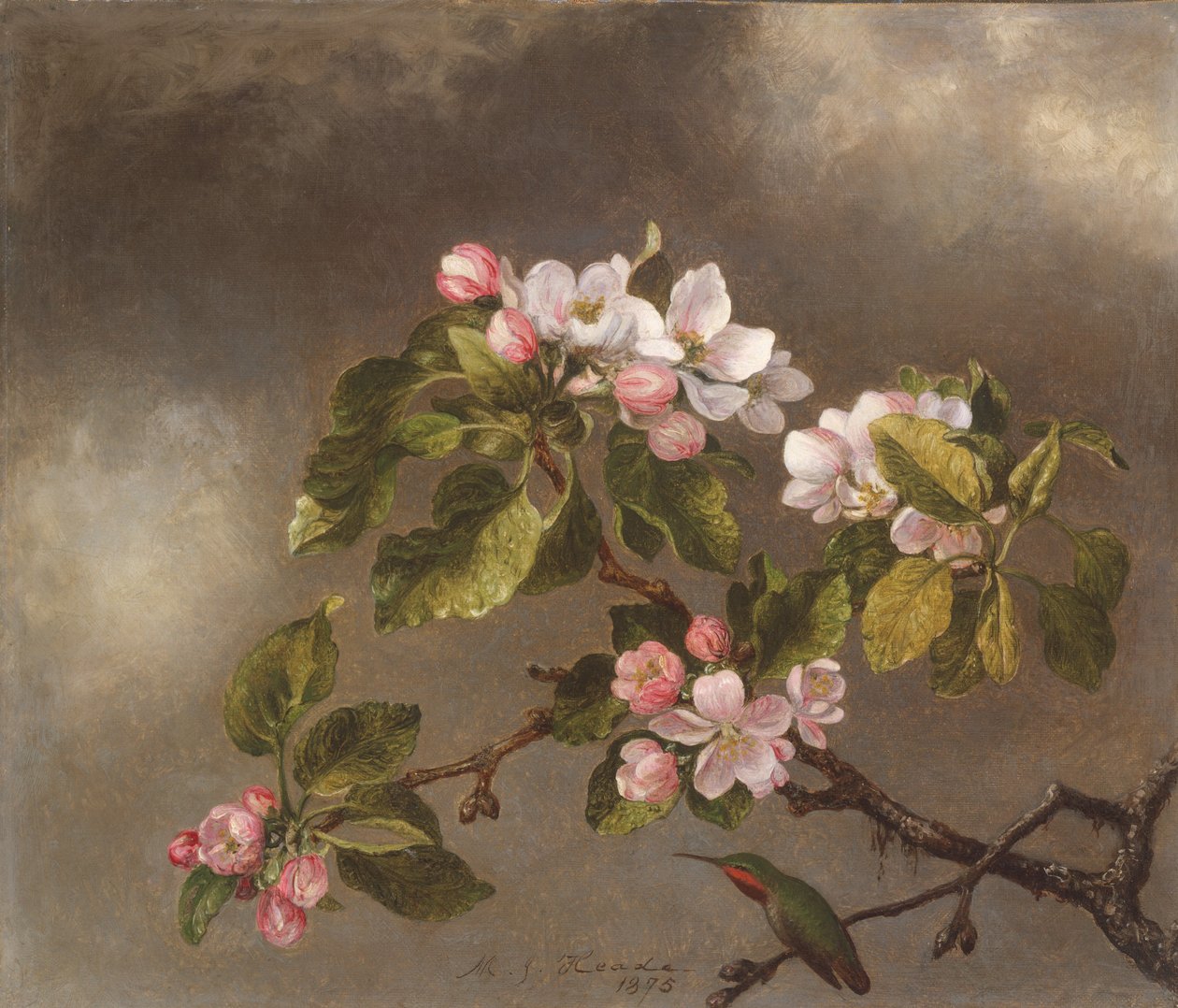 Colibrì e fiori di melo, 1875 da Martin Johnson Heade