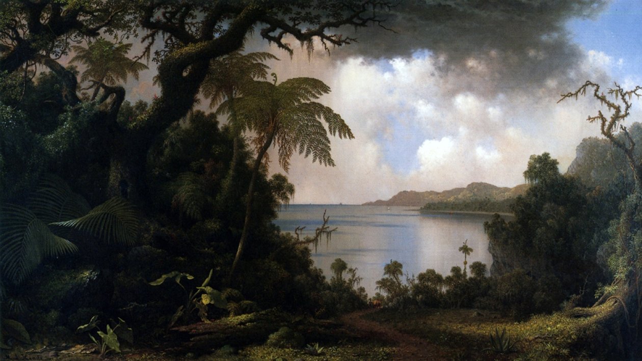 Giamaica, veduta da Fern-Tree Walk, 1887 da Martin Johnson Heade