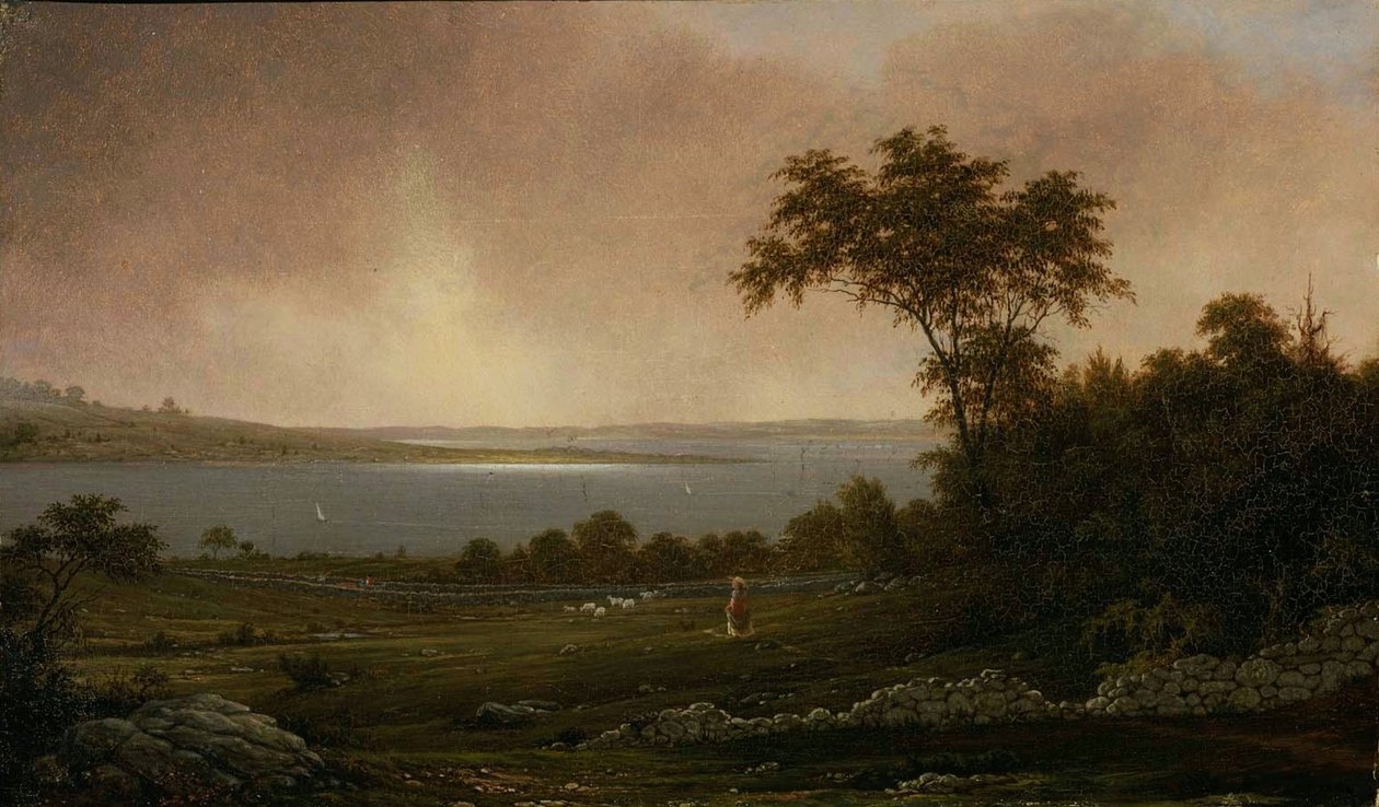 Paesaggio del Rhode Island da Martin Johnson Heade