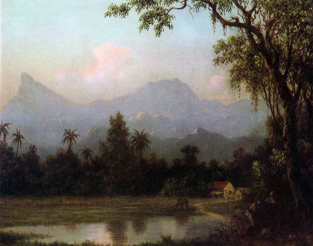 Rio de Janeiro, Brasile da Martin Johnson Heade