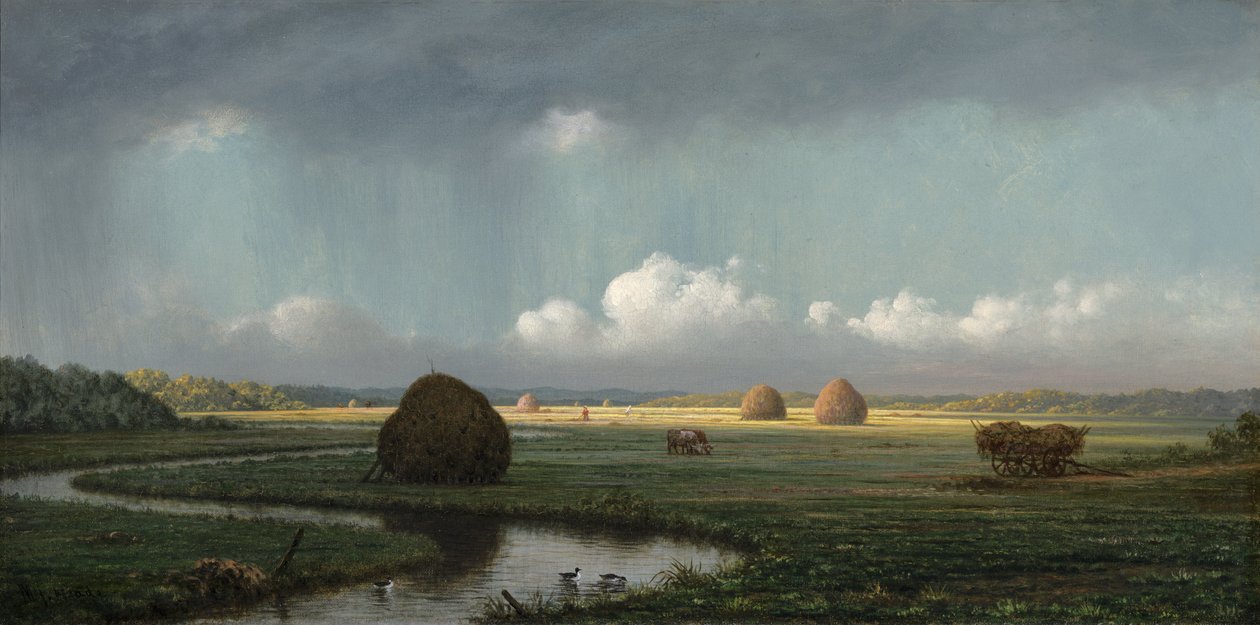 Pioggia Improvvisa, Paludi di Newbury da Martin Johnson Heade