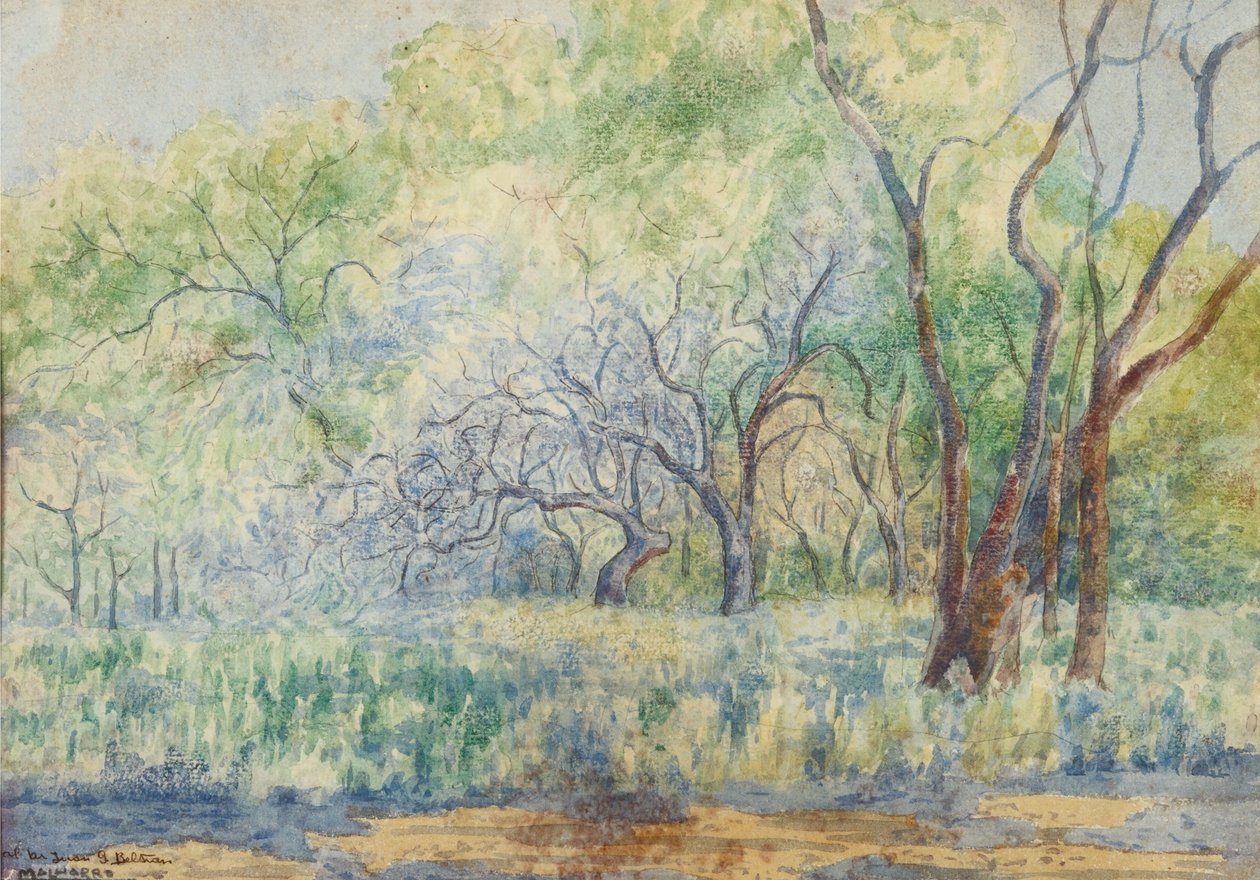 Paesaggio da Martín Malharro