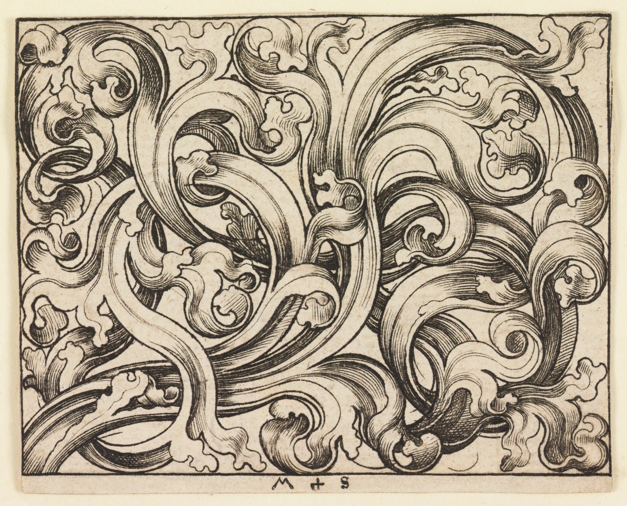 Querfüllung auf hellem Grund (Ornamento orizzontale) da Martin Schongauer