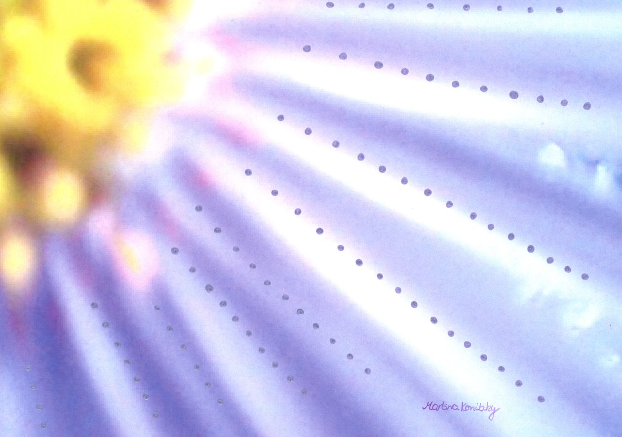 Blaue Blume da Martina Konitzky