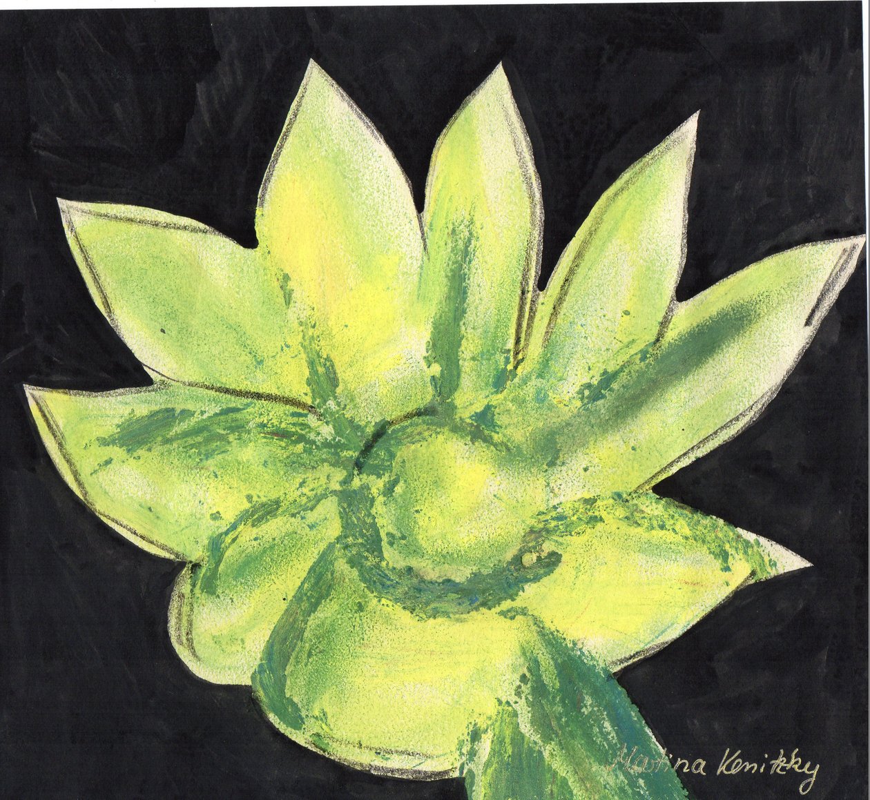 Cactus da Martina Konitzky