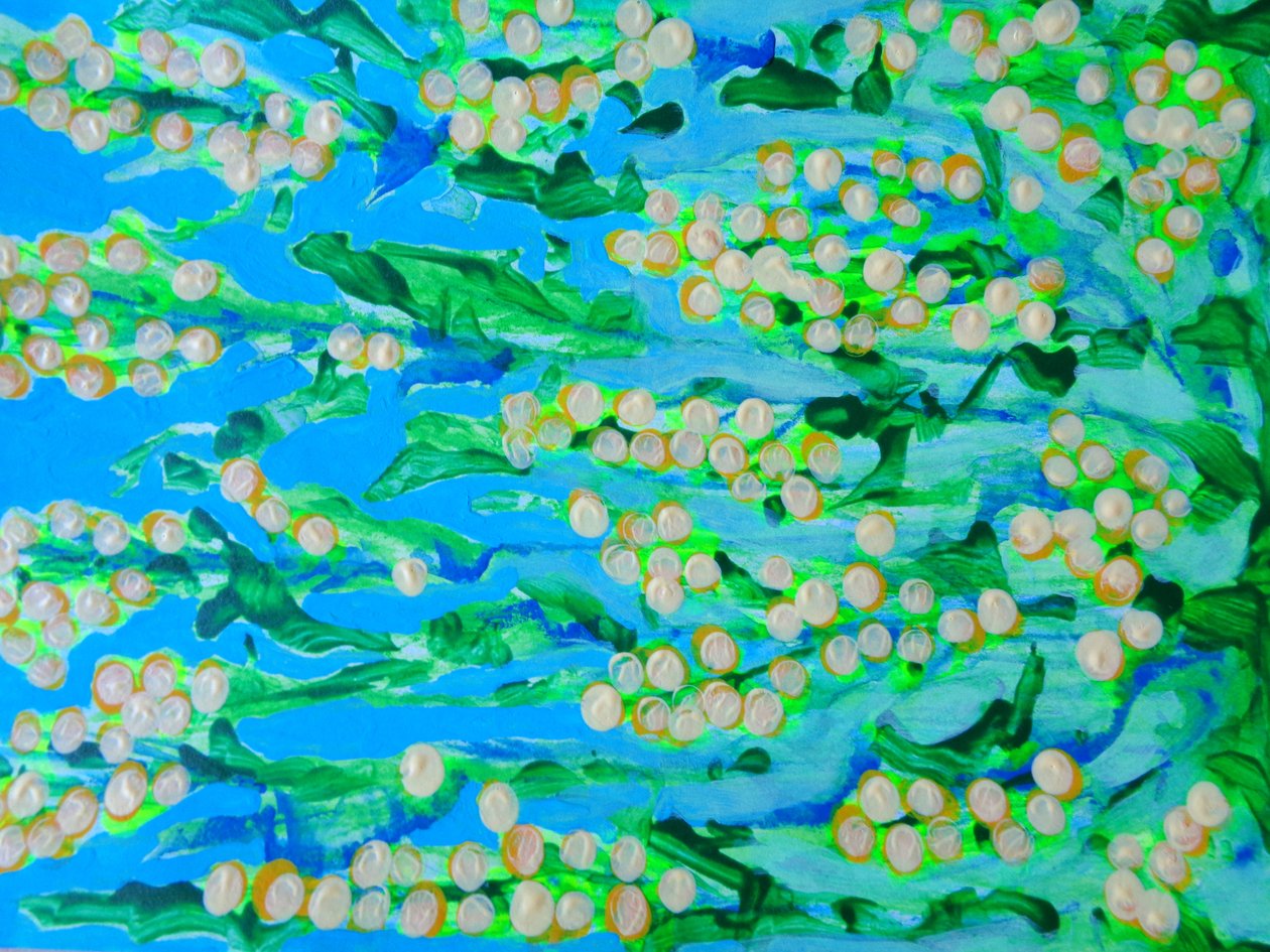 Fiori1 da Martina Konitzky