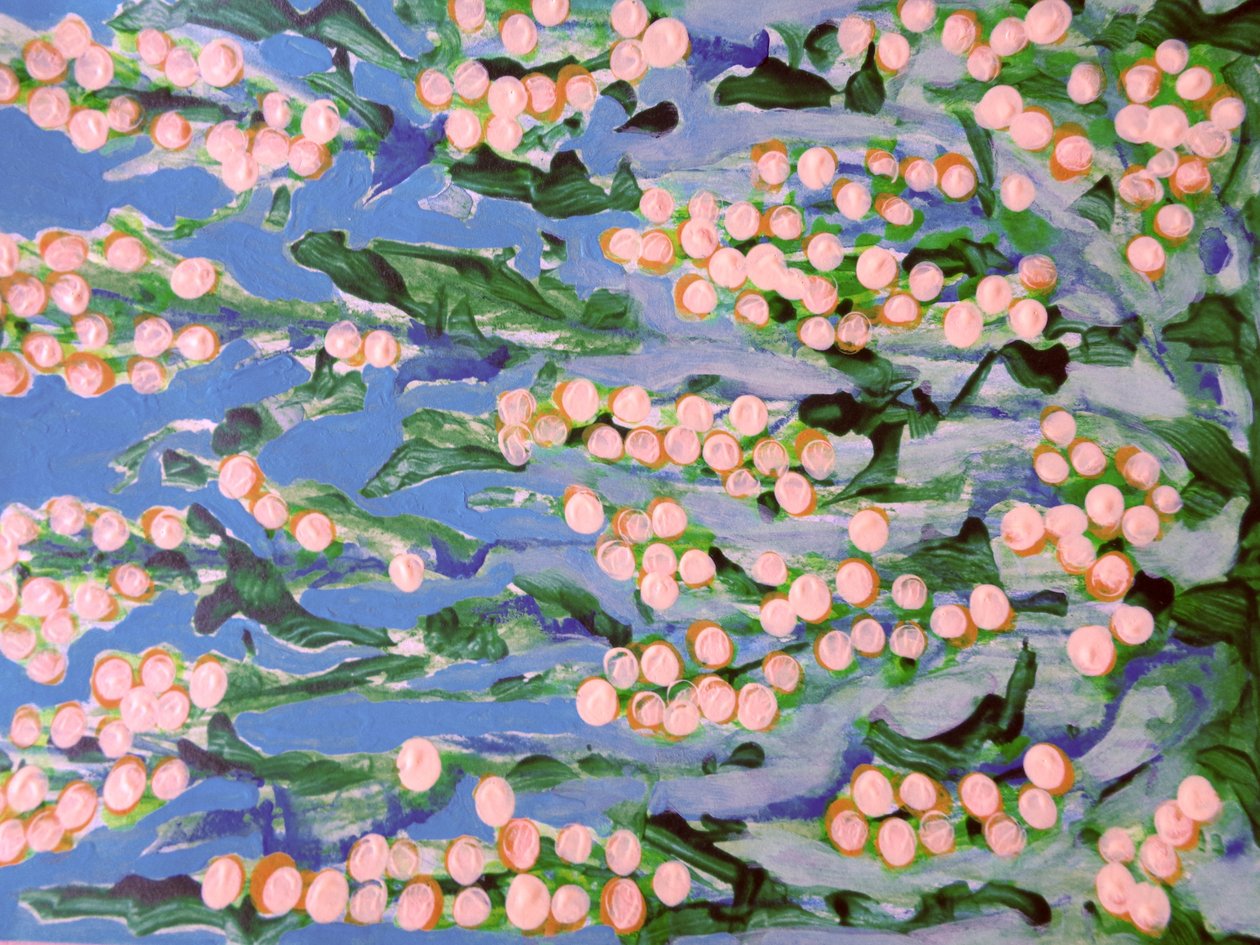 Fiori da Martina Konitzky