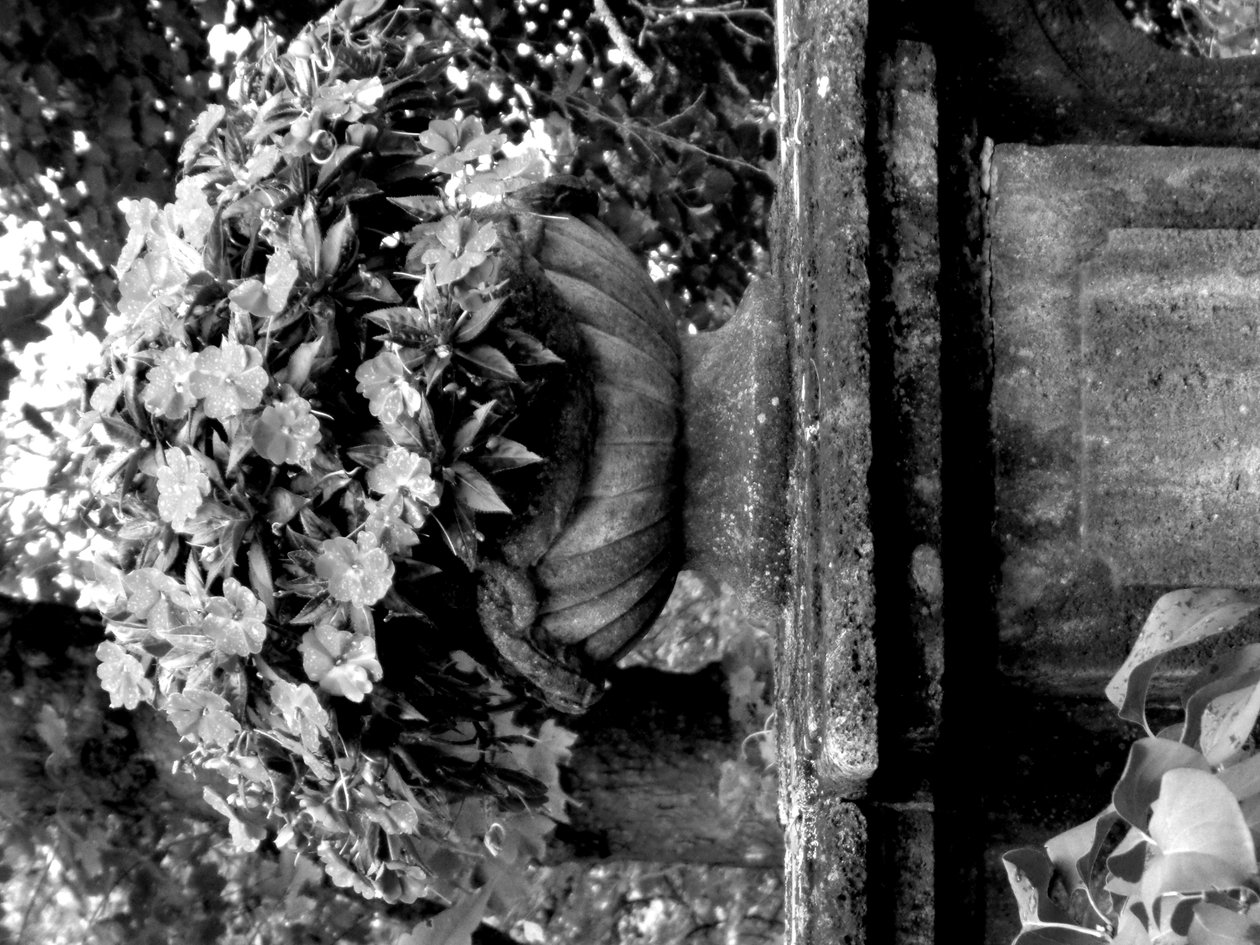 In giardino da Martina Konitzky