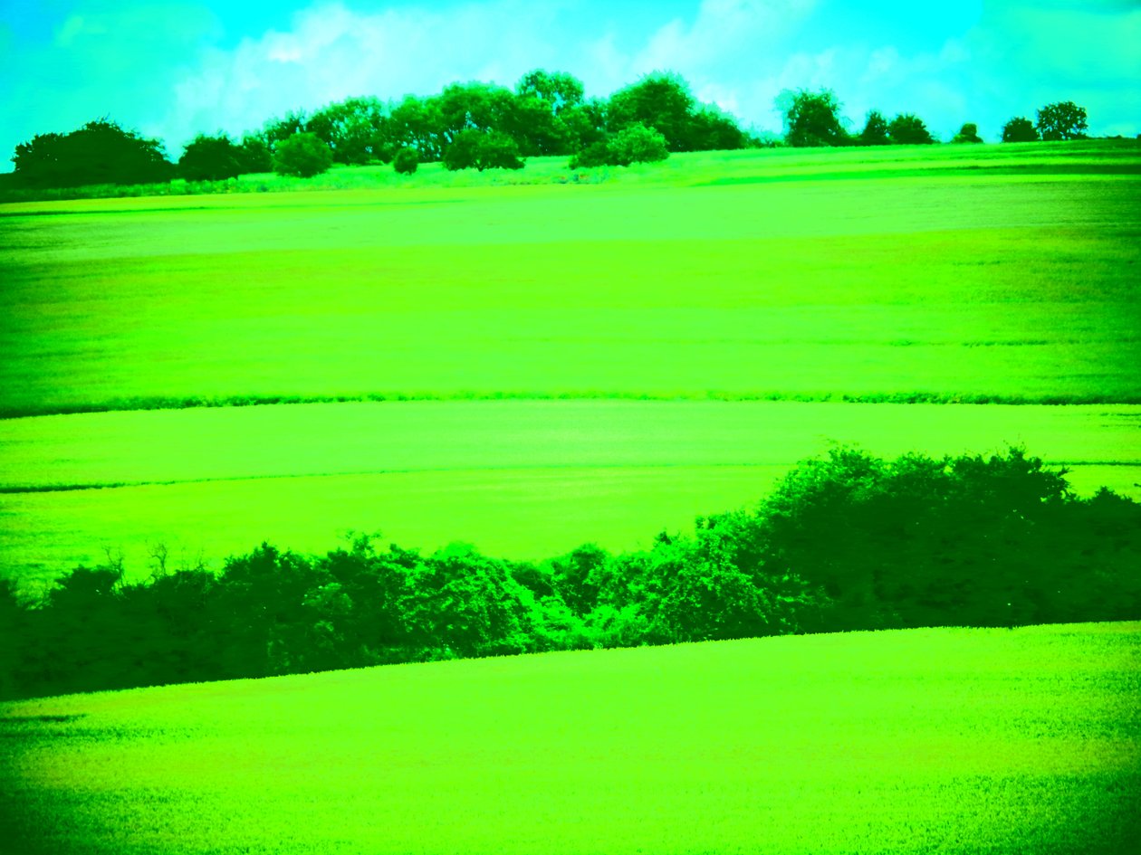 Paesaggio Verde da Martina Konitzky