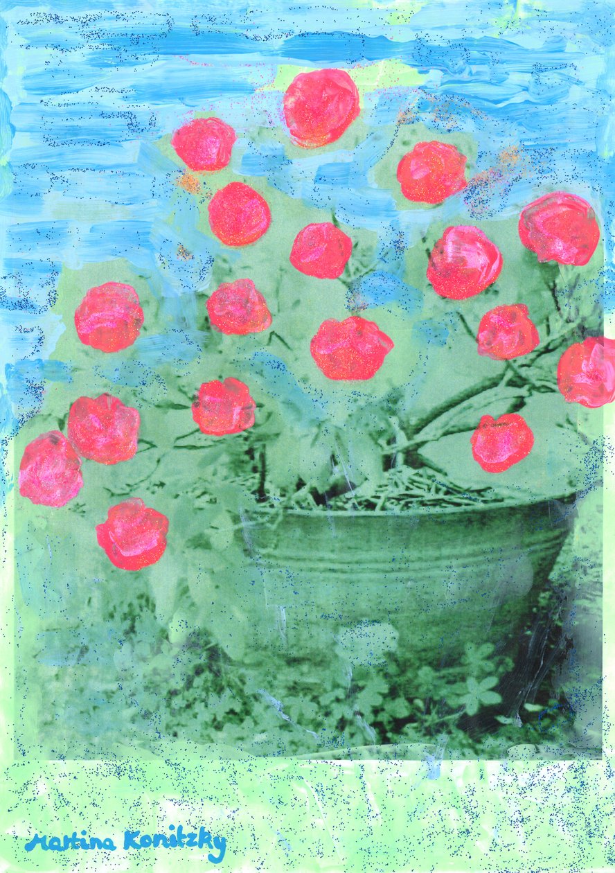 Rhododendron da Martina Konitzky