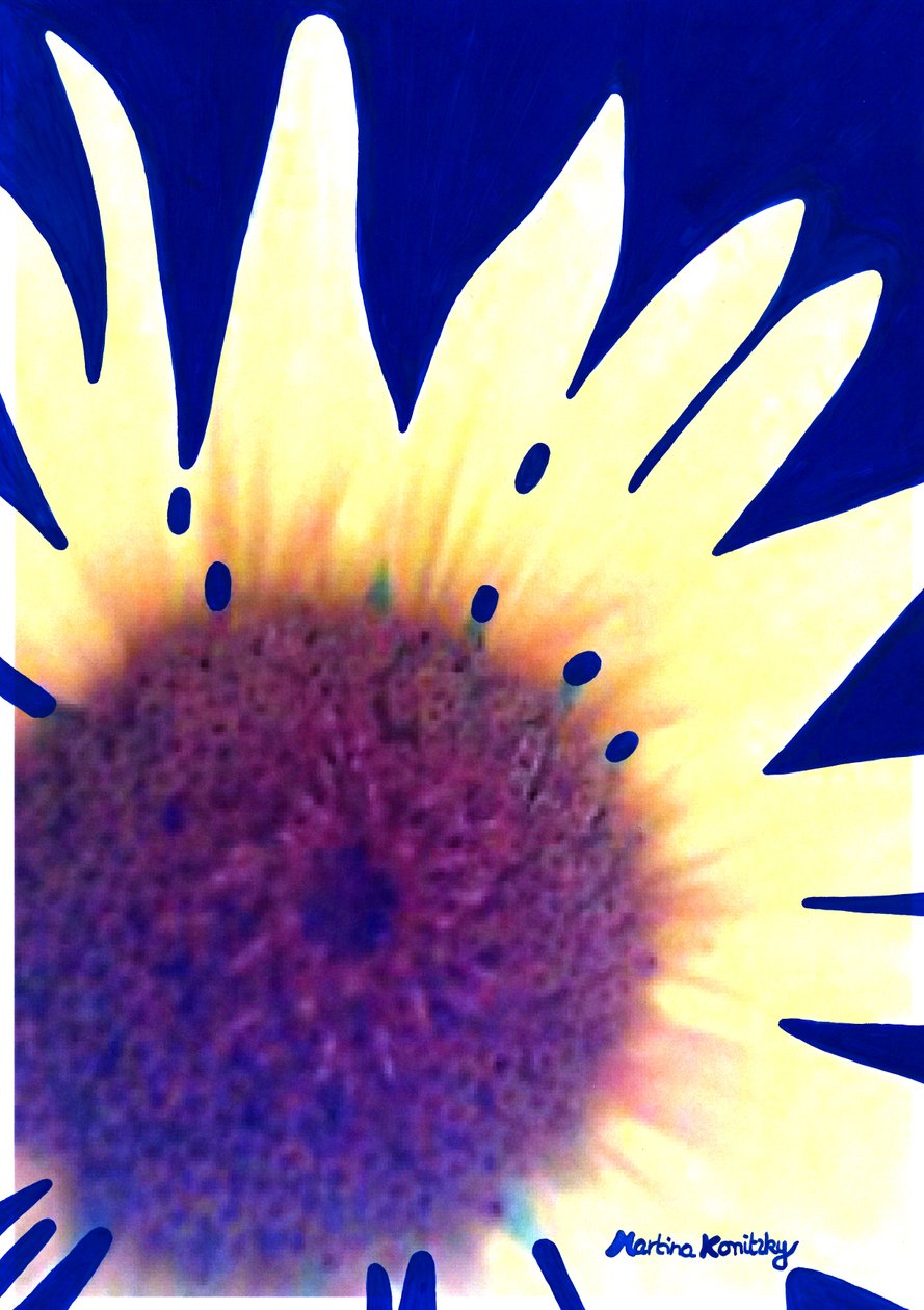 Sonnenblume Dunkelblau da Martina Konitzky