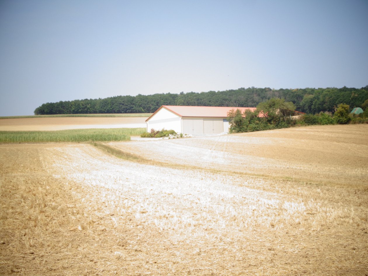 Estate da Martina Konitzky