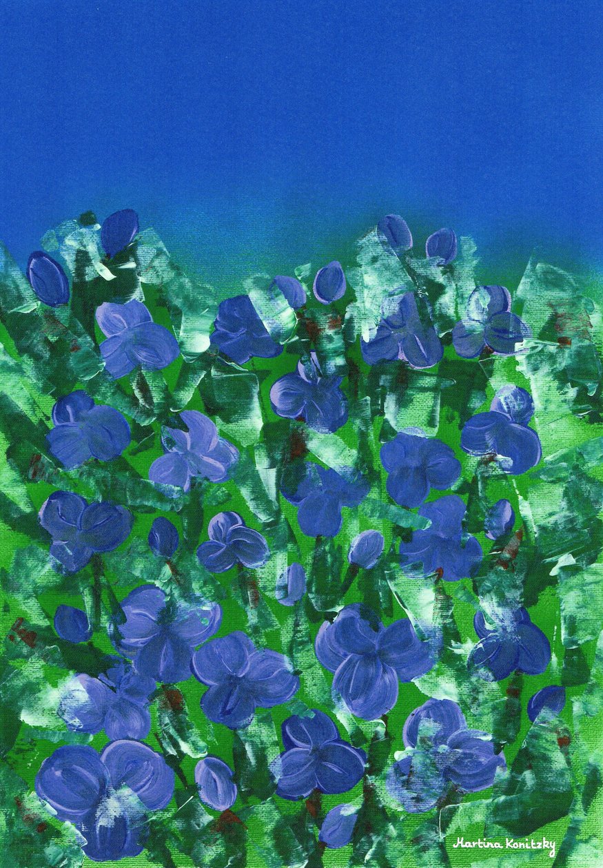 Viole da Martina Konitzky