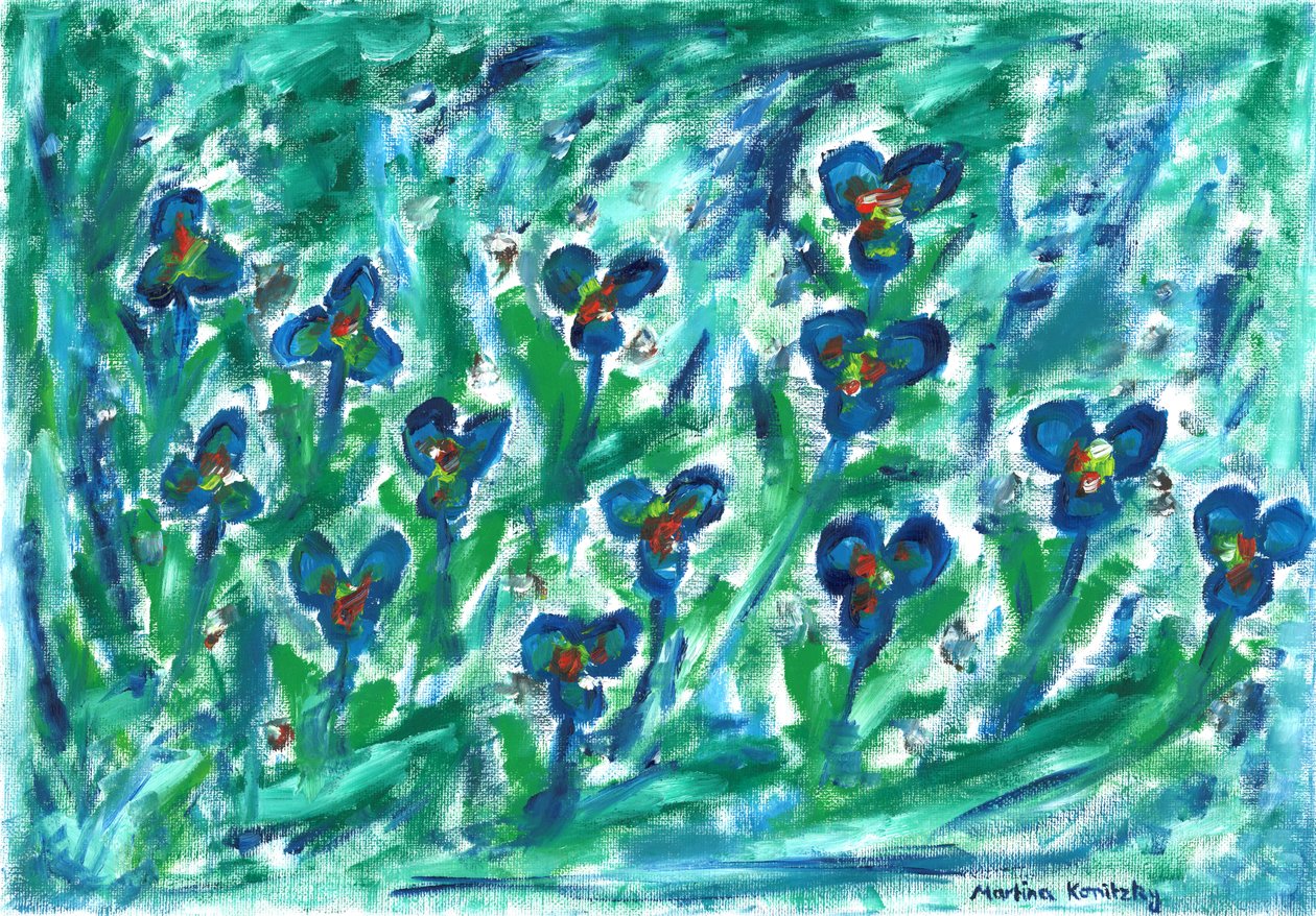 Prato di Viole da Martina Konitzky