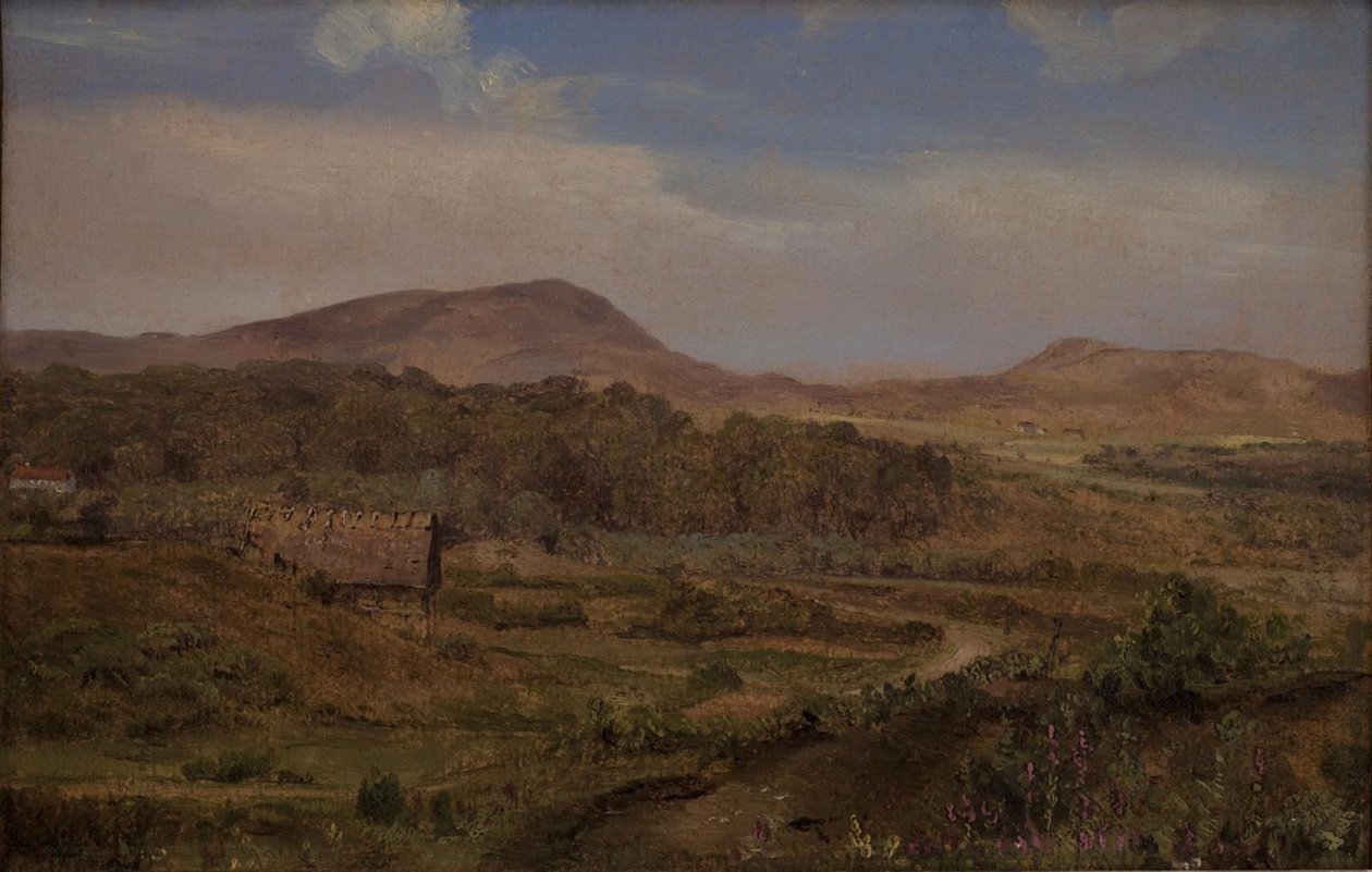 Paesaggio vicino a Blokhus, Jutland da Martinus Rørbye