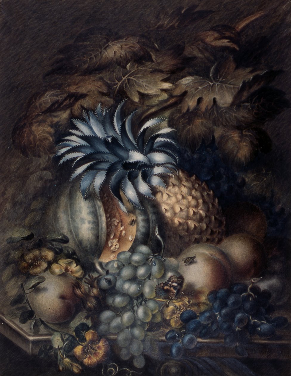 Studio di frutta da Mary Bradley