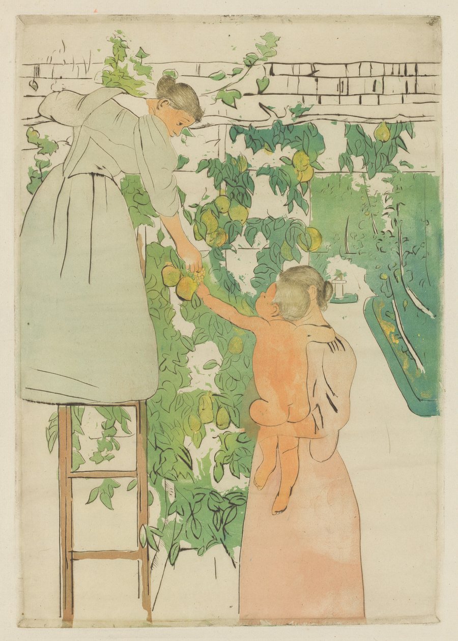Raccolta di frutta da Mary Cassatt