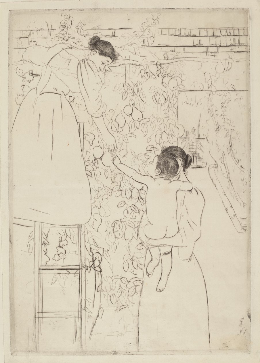 Raccolta di frutta, c. 1893 da Mary Cassatt