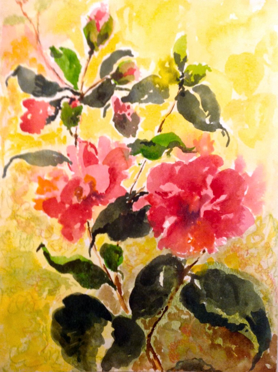 Camelie da Mary Smith