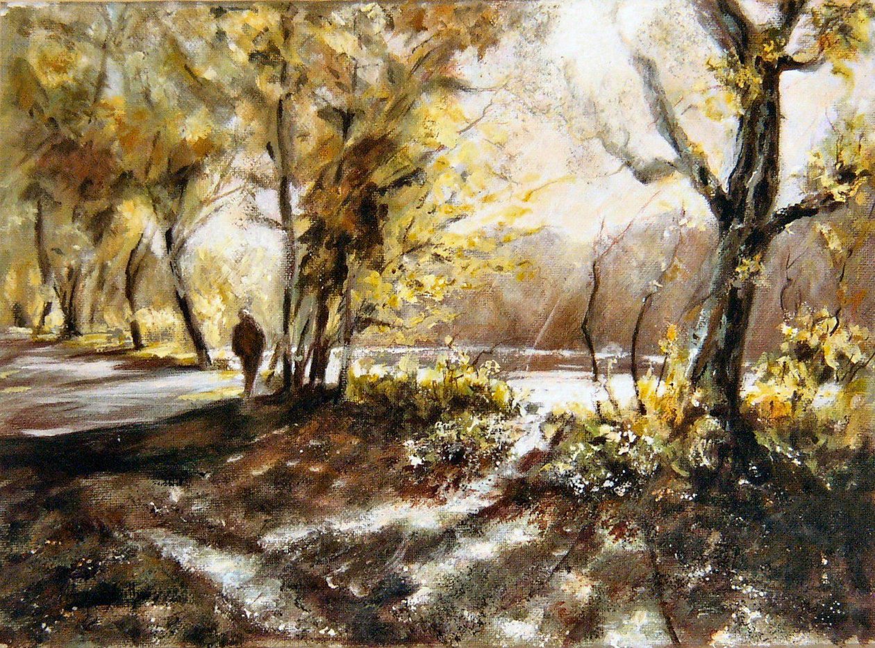 Passeggiando accanto al lago Rudyard da Mary Smith