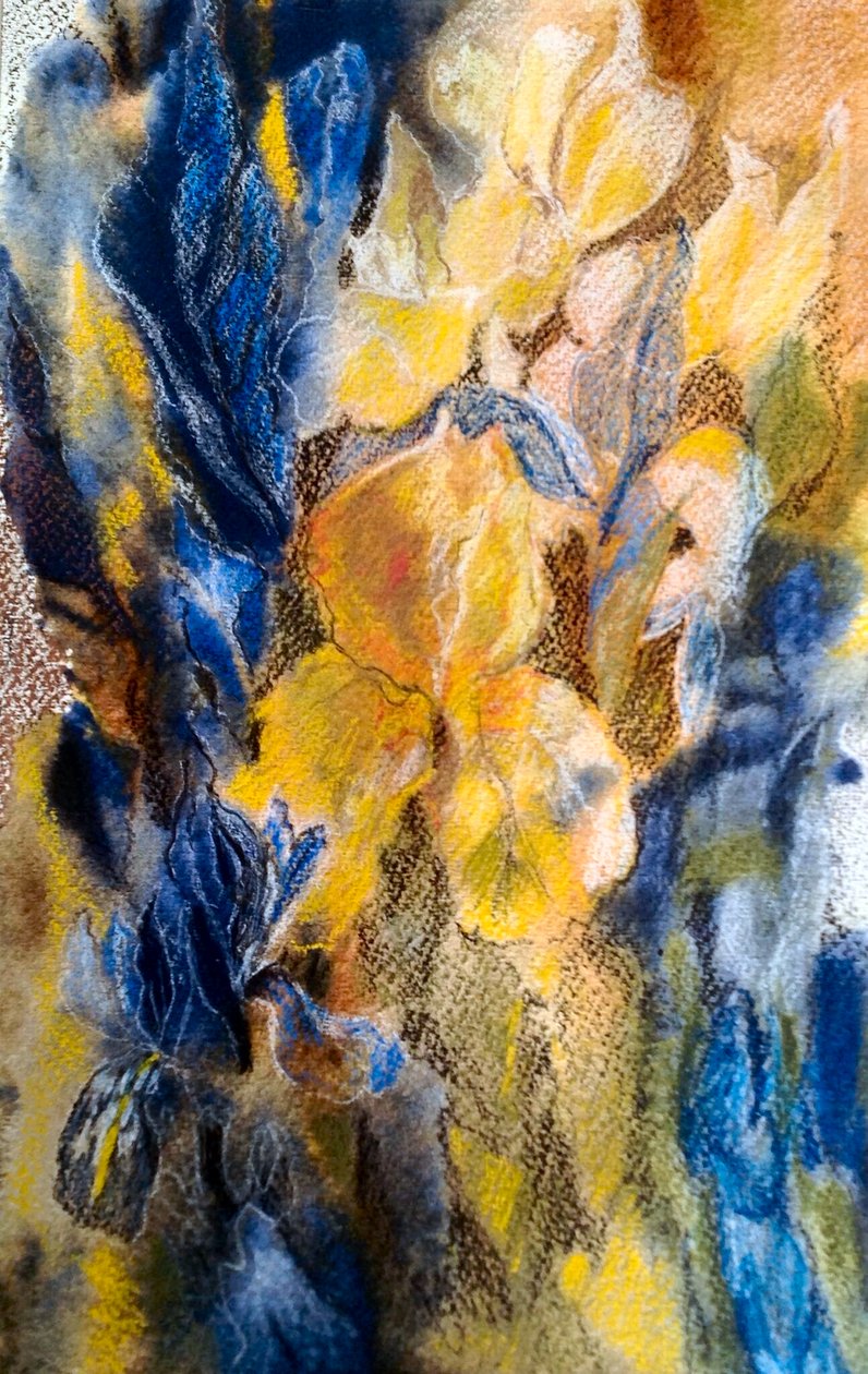 Iris dorati e blu da Mary Smith