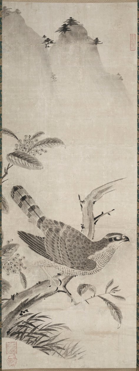 Falco, metà del 1500 da Masayoshi Fujiwara