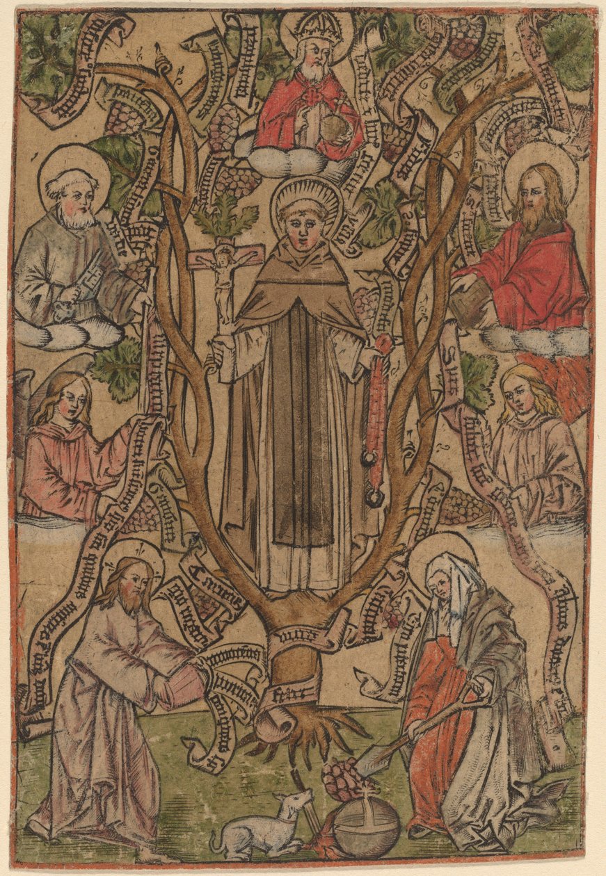 San Domenico da Master S