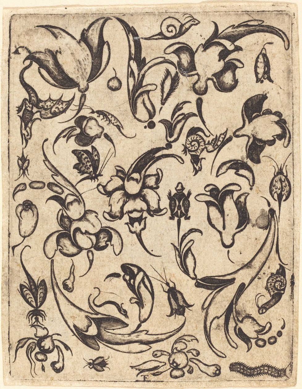 Ornamento da Master T.F.