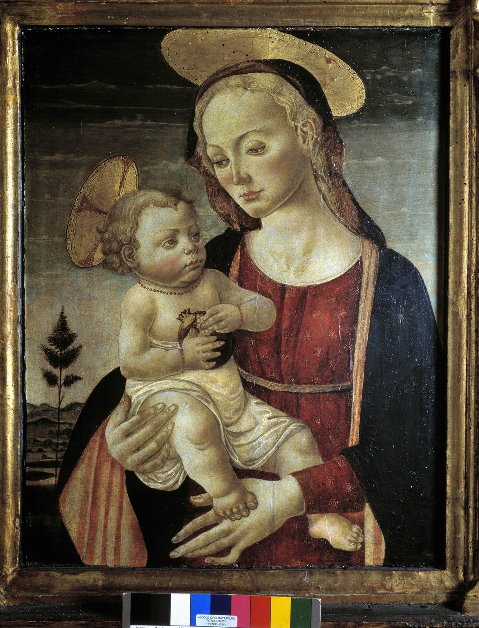 Immagine sconosciuta da Master of San Miniato