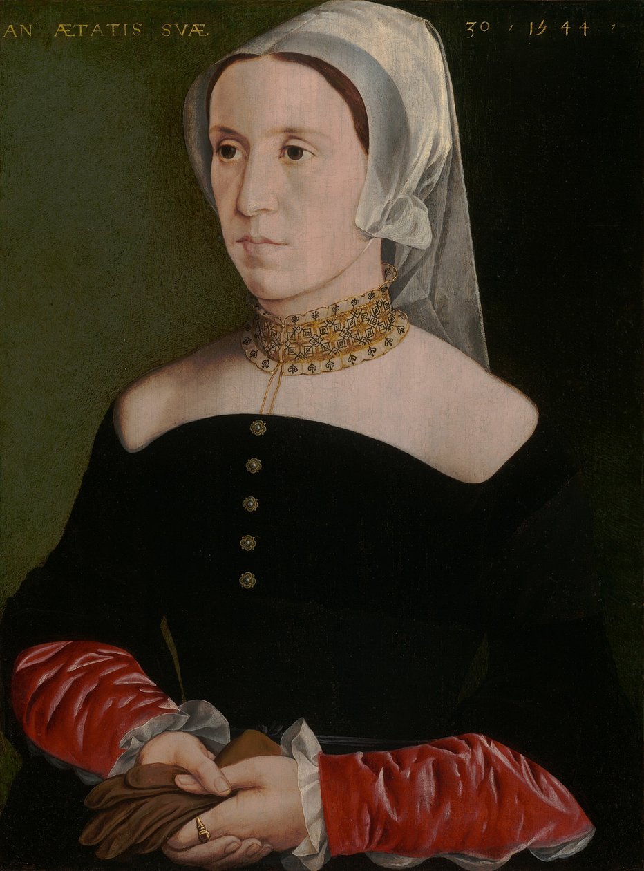 Ritratto di una donna da Master of the 1540s