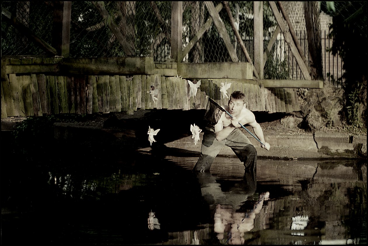 Catturare le fate 3 da Mat Collishaw