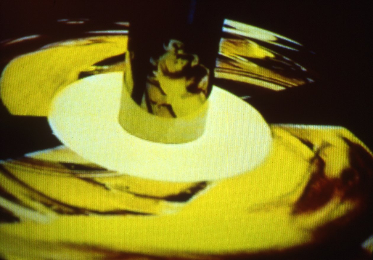 La scimmia di Harlow da Mat Collishaw