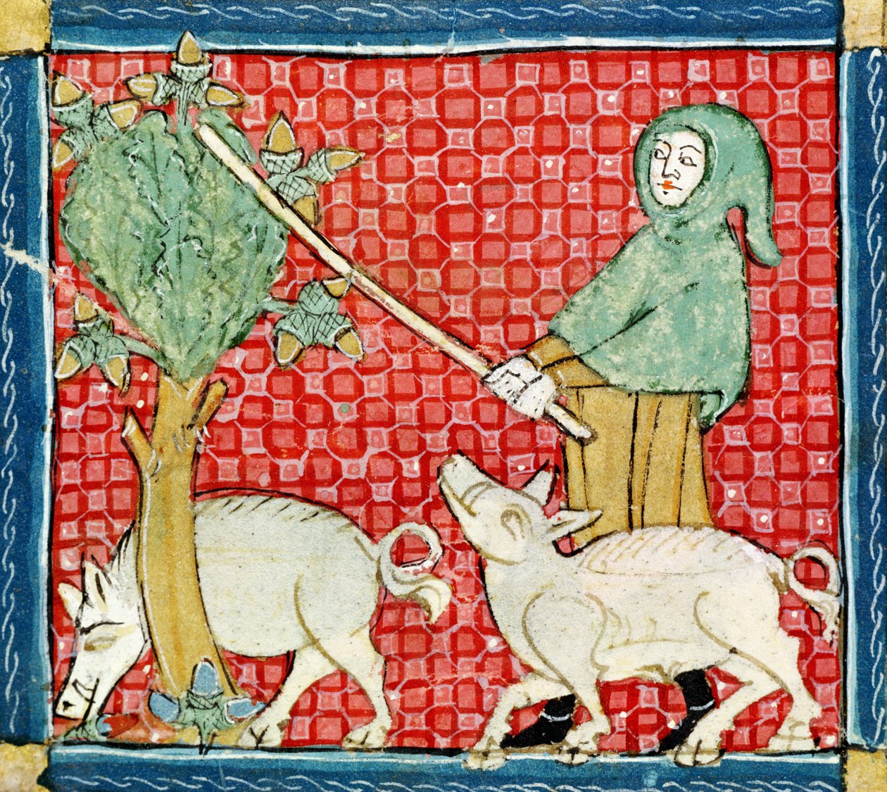 Fol.59v Novembre: Raccolta di ghiande da Matfre Ermengaut