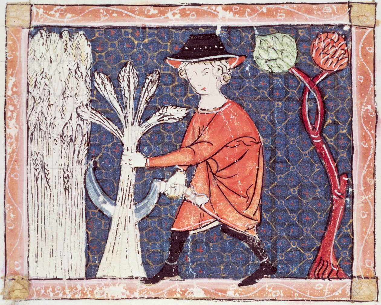 Fol.58v Luglio: Il raccolto da Matfre Ermengaut