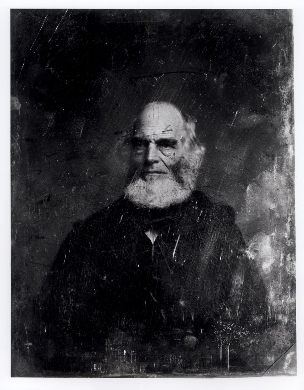 William Cullen Bryant (1794-1878) c.1851-60 da Mathew B. Brady